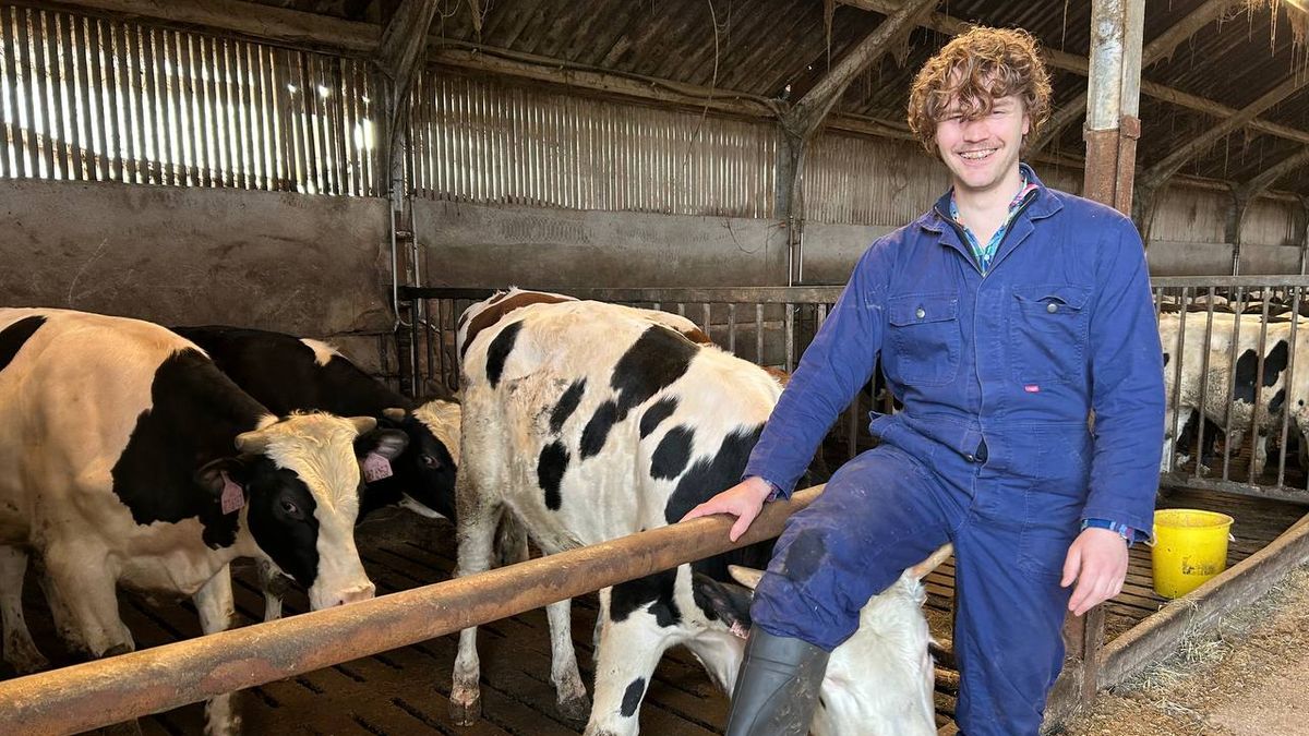 Wouter redt vier ossen uit de stal van zijn vader in Geesteren van de slacht