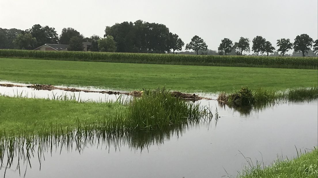 Waterschap Drents Overijsselse Delta sloten kanalen water droogte