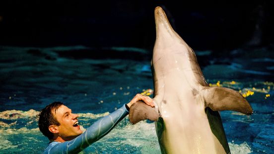 Foto: Voorlopig geen boetes voor Dolfinarium om dierenshows