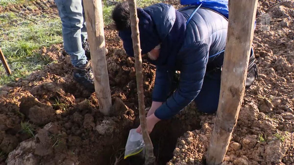 260 bomen met een eigen verhaal in Kerkrade in vierde levensbomenbos