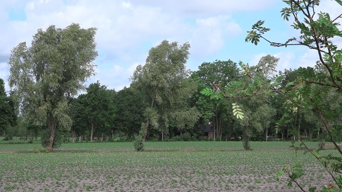 Plaatselijk Belang Opende ziet steeds meer kale plekken in de houtsingels