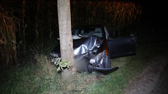 Auto botst op boom