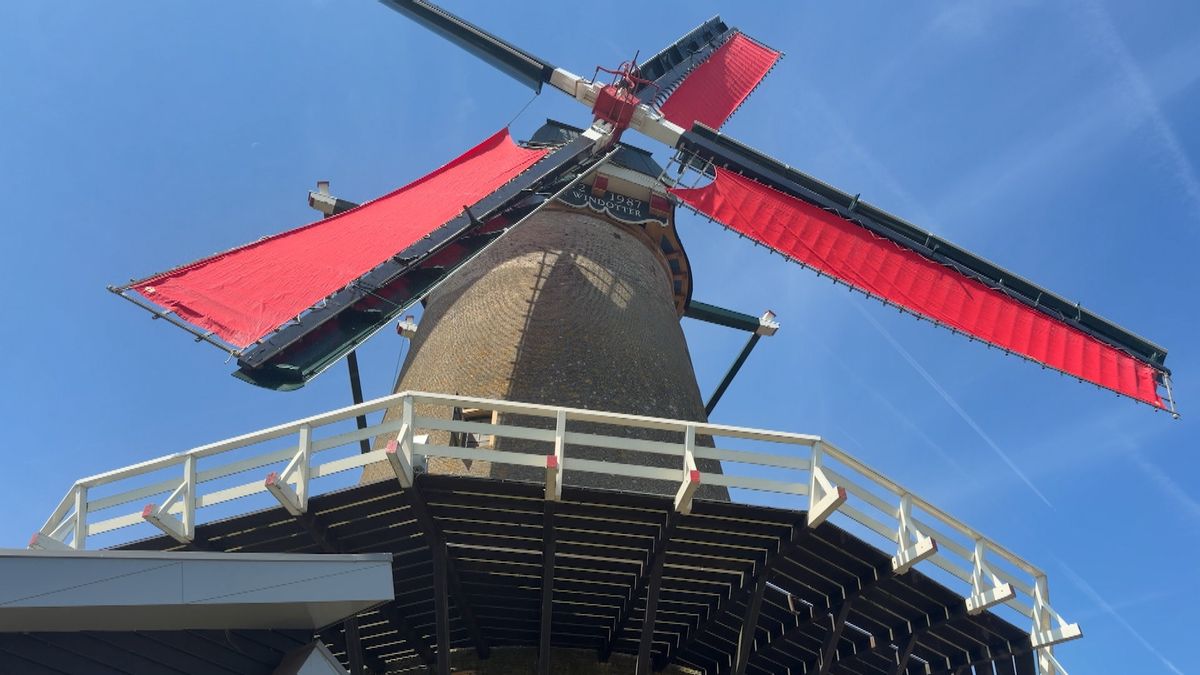 Blauwe basaltlava geeft IJsselsteins meel een unieke smaak