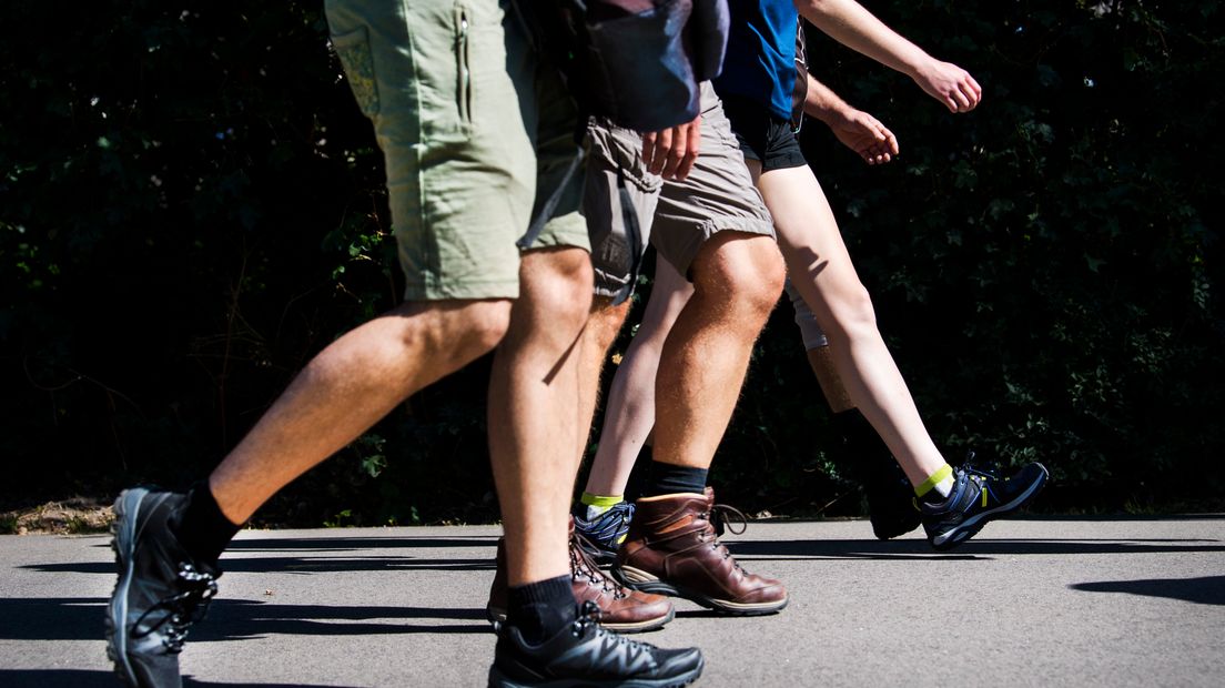 Wandelaars op de laatste dag van de Vierdaagse (Rechten:  ANP/Piroschka van de Wouw)