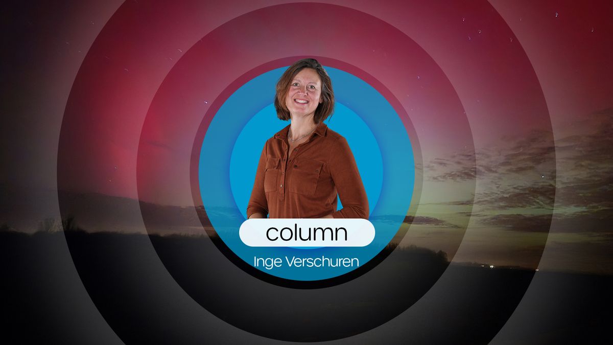 Magie achter de dijk: winter met een grote G