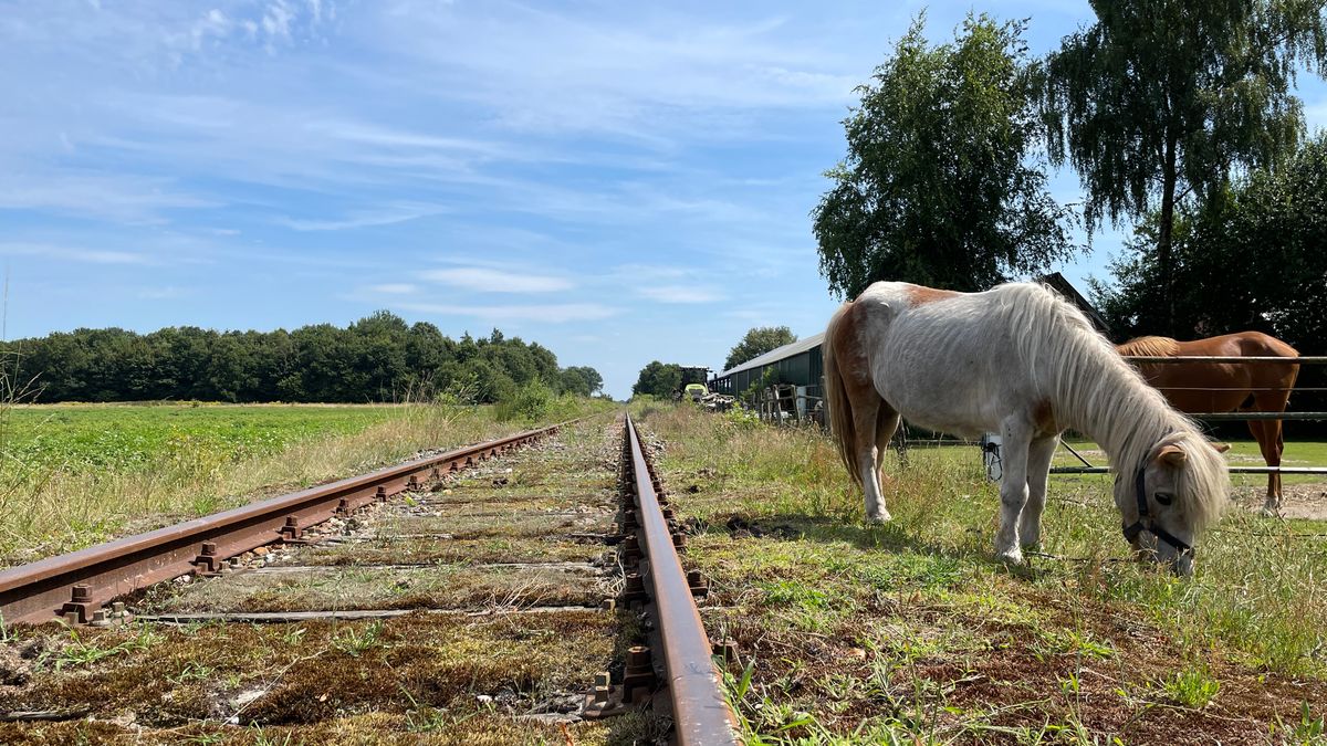 Honderden miljoenen voor spoor en wegen in het Noorden: waar gaat het geld naartoe?