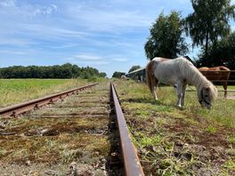 Honderden miljoenen voor spoor en wegen in het Noorden: waar gaat het geld naartoe?