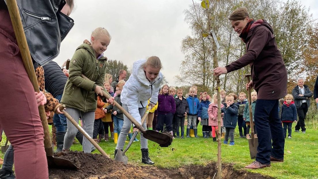 Kirsten Ipema plant boom bij OBS de Elsakker