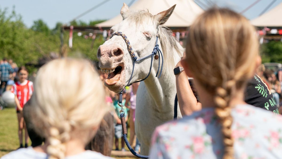 In beeld: Paard & Erfgoed Frederiksoord