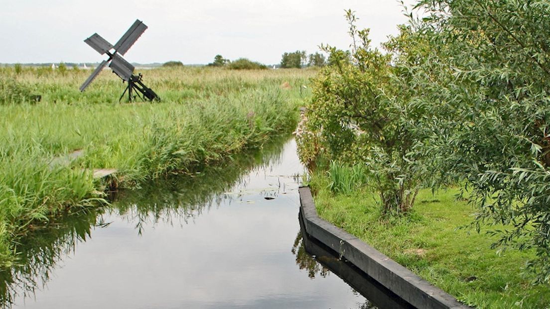 Natuurgebied de Wieden