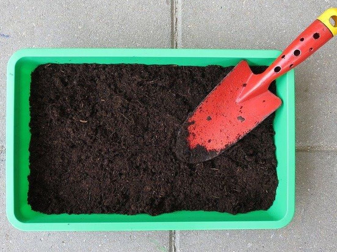 Klaar voor de start? Moestuinen maar!