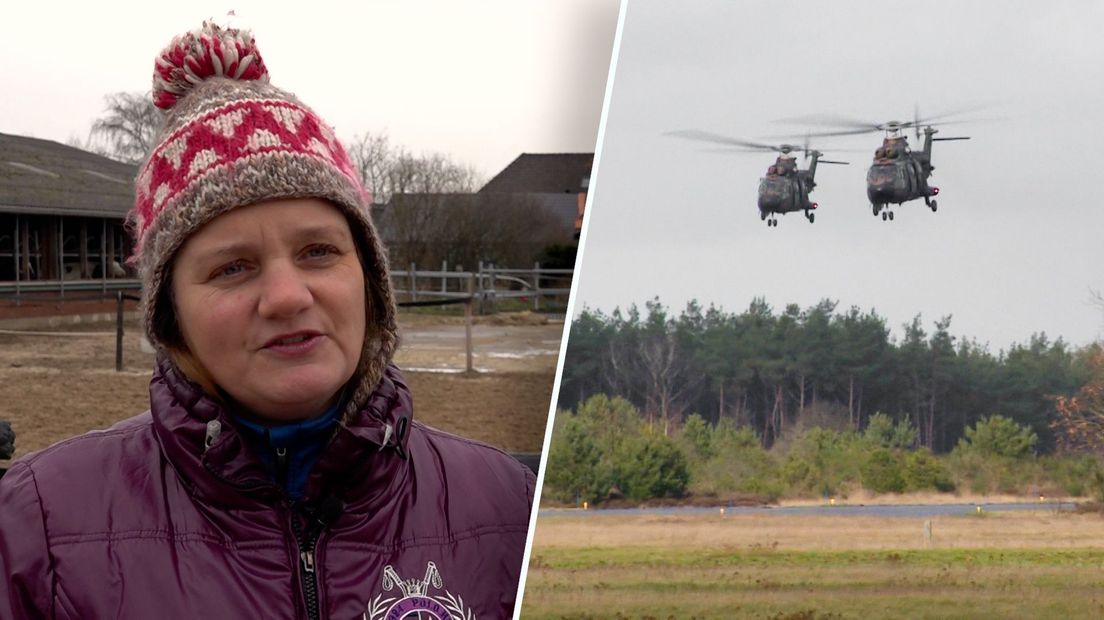 Laagvliegende helikopters zorgen voor stress bij de dieren van Marievonne Reulink.