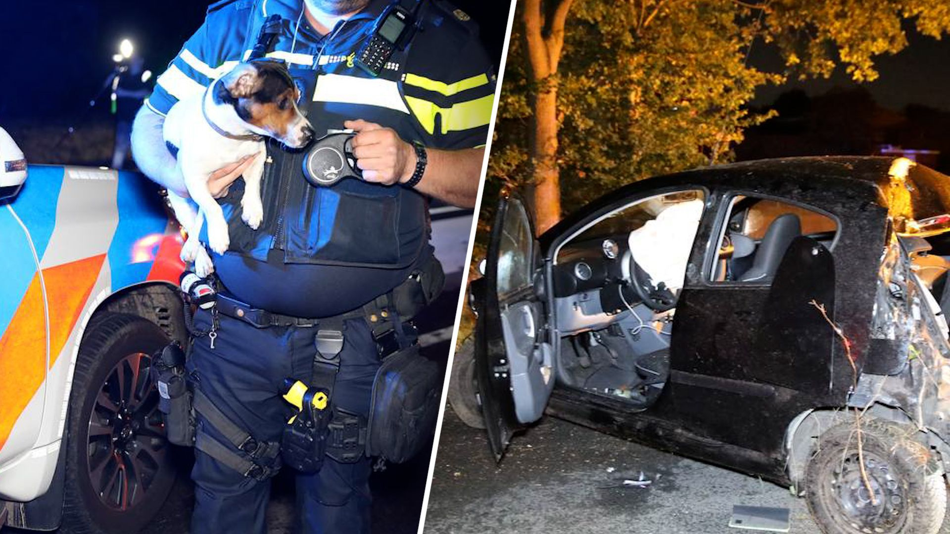 Ravage en gewonde bij crash, hondje opgevangen