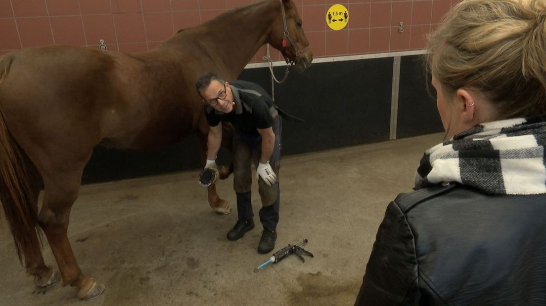 De kit tussen hoef en zooltje moet even drogen