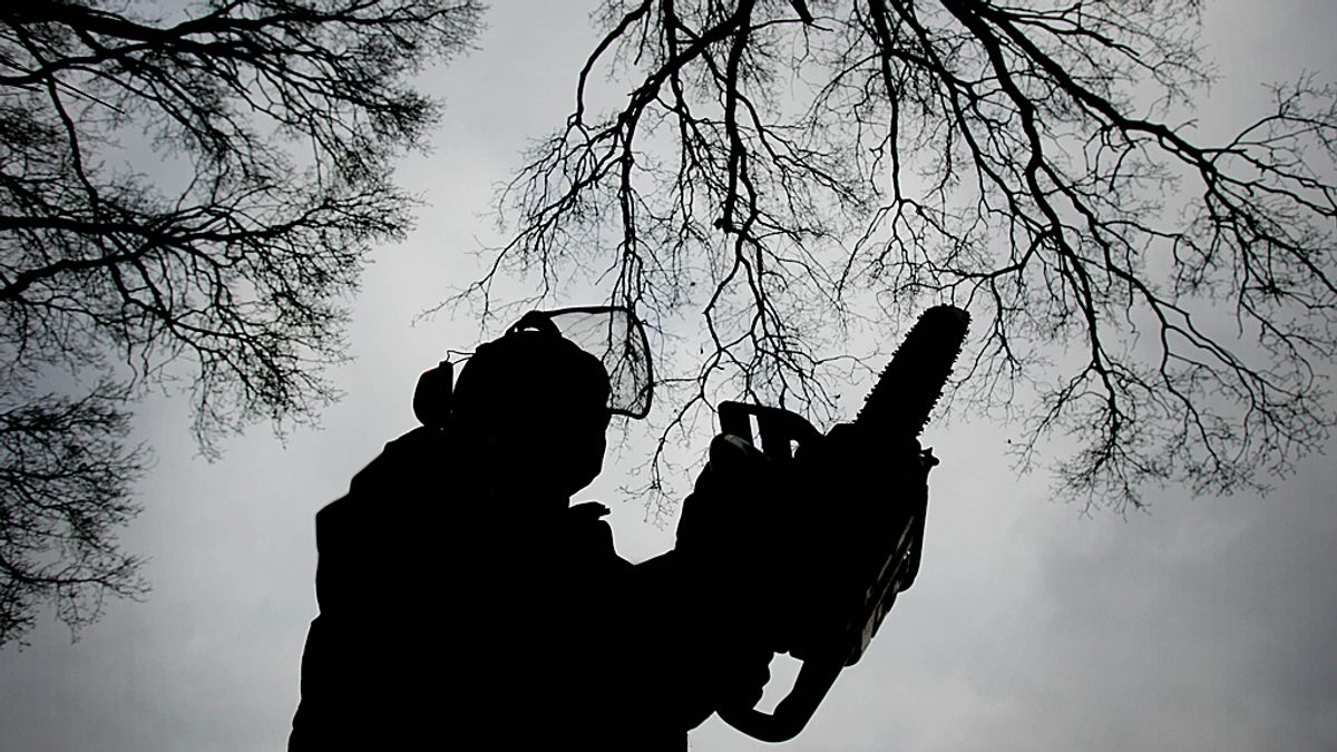 Verzet tegen kap 85 hectare bomen Hollandsche Rading