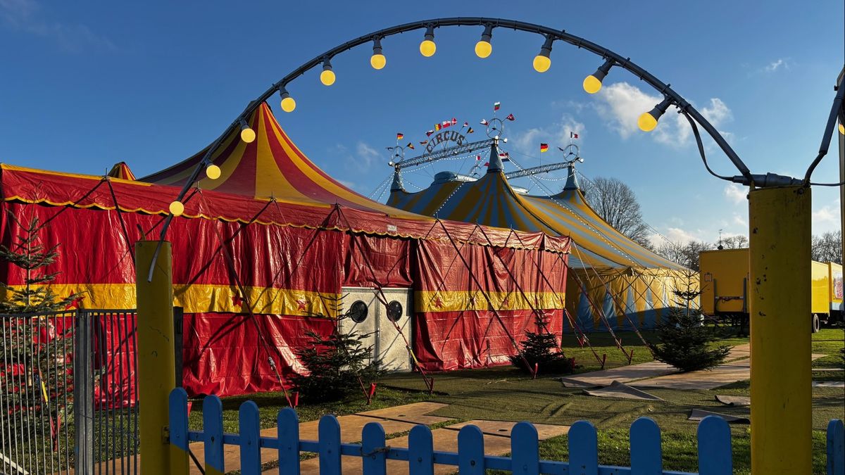 Circus in de stad: 'Tien jaar zonder wilde dieren'