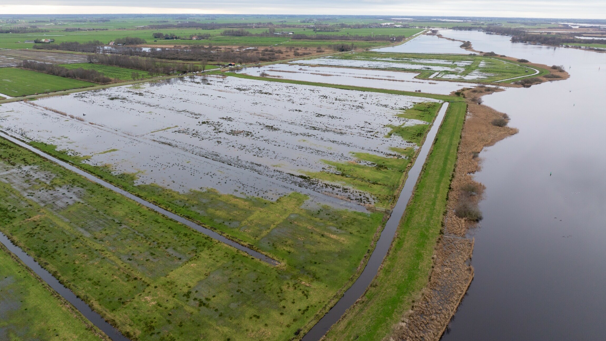 Wetterskip neemt extra maatregelen: polders open om water te spreiden