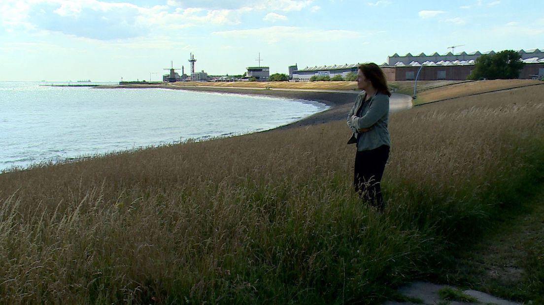 Inez Flameling PvdA Westerschelde