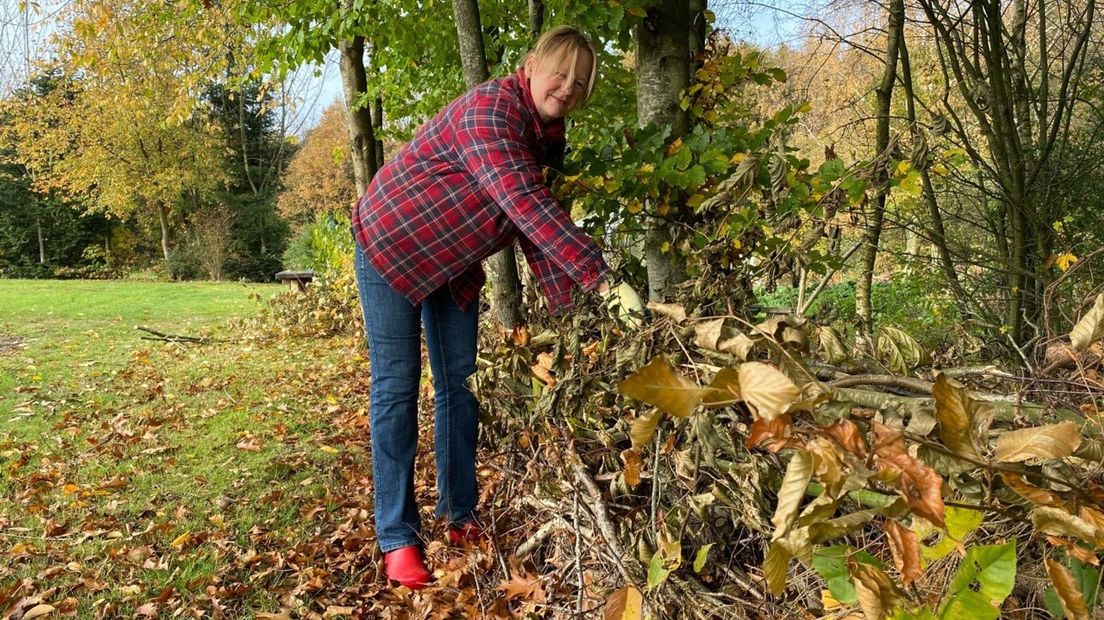 Lidy Kuiper maakt een takkenril in haar tuin