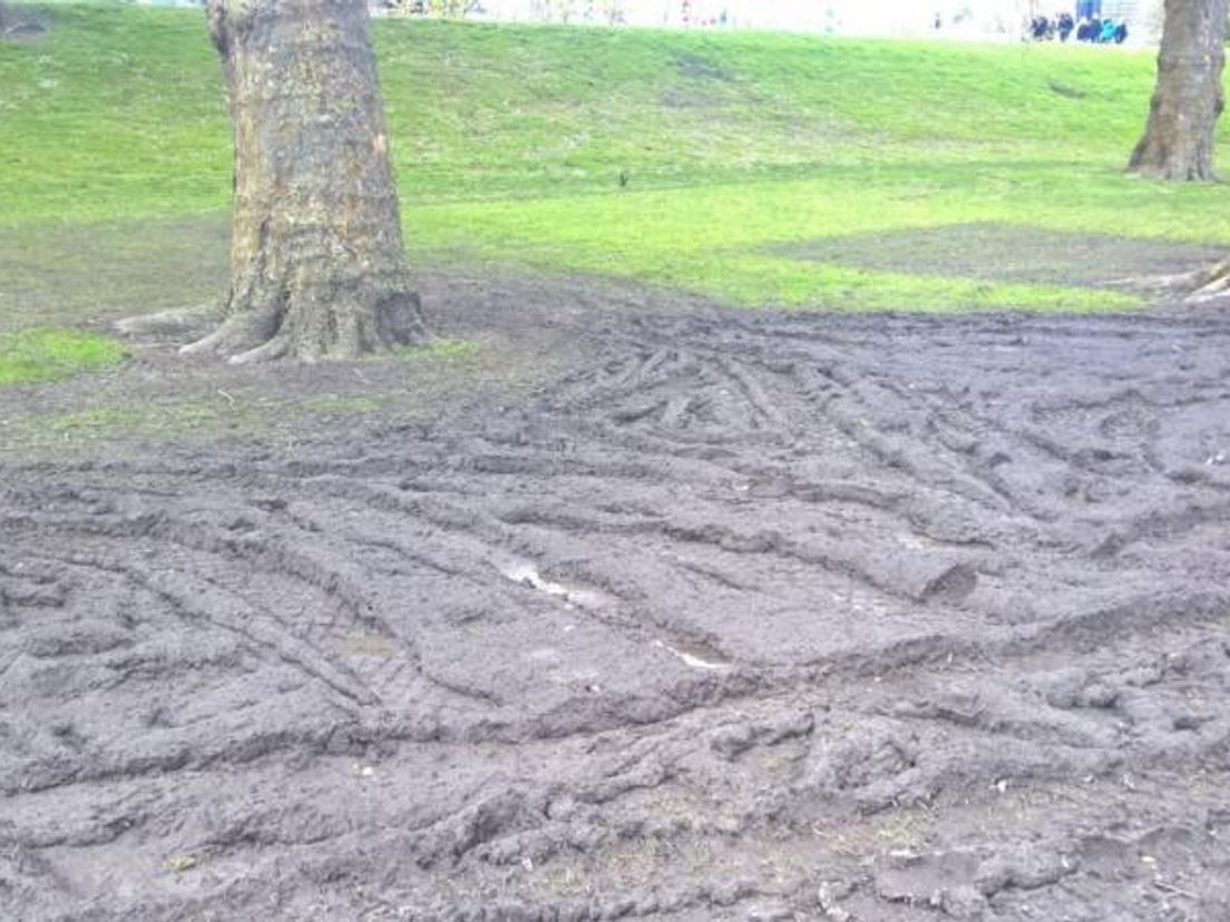 Bandensporen in het Park na festival