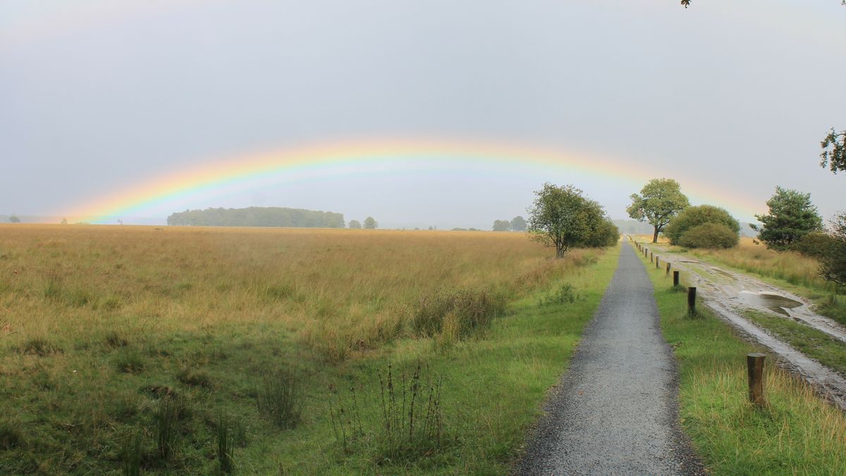 Route over het Dwingelderveld 'populairste fietsroute van Nederland'