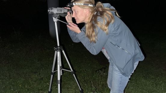 Dit diertje bewaart sperma tot het tijd is voor een kleine