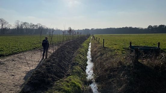 Landgoed Twickel brengt verdwenen houtwallen terug in het Twentse landschap Home