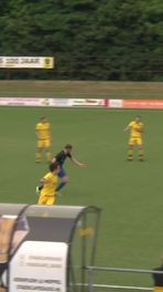 Prachtgoal van Alcides