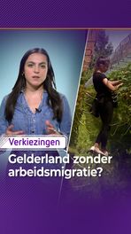 Kan Gelderland nog zonder arbeidsmigranten?