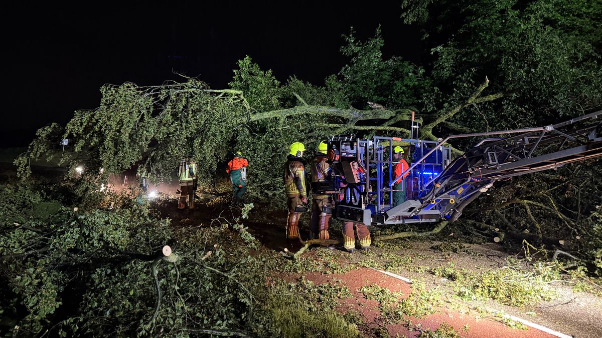 Hevige windstoten in Limburg: wegen versperd door omgevallen bomen