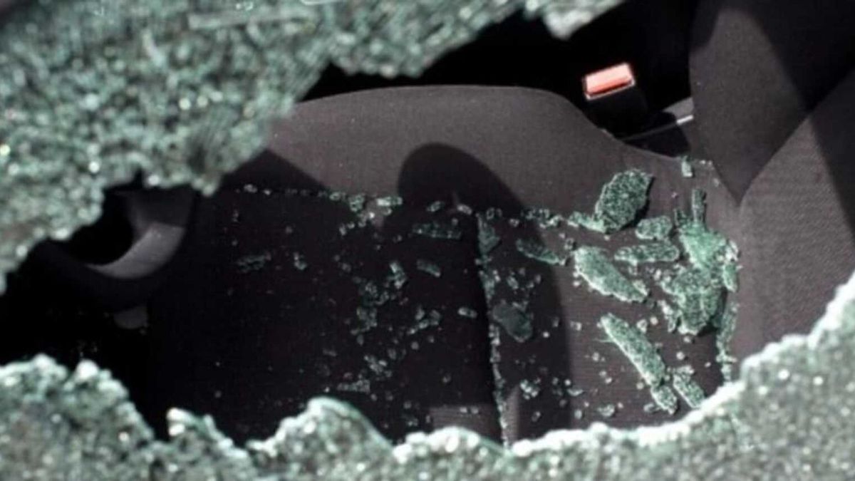 Spoor van vernieling in de gemeente Hulst: bekraste auto's en vernielde tuinen