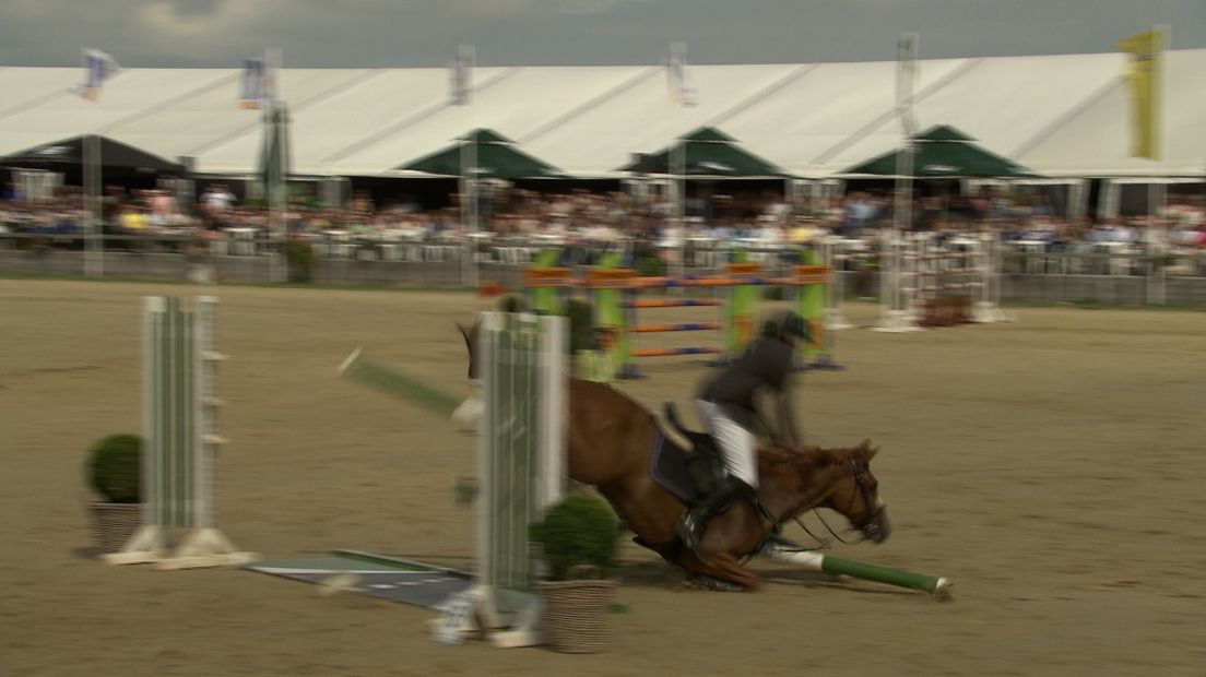 Springruiter Jil Buijze overleeft lelijke val en wint auto (video)