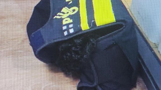 Dronken baasje opgepakt in café, politie neemt puppy van vijftien weken in beslag