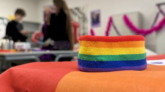 'Ik vind het zorgwekkend': Leerlingen Esdal College maken zich op Paarse Vrijdag hard voor homoacceptatie Nieuws