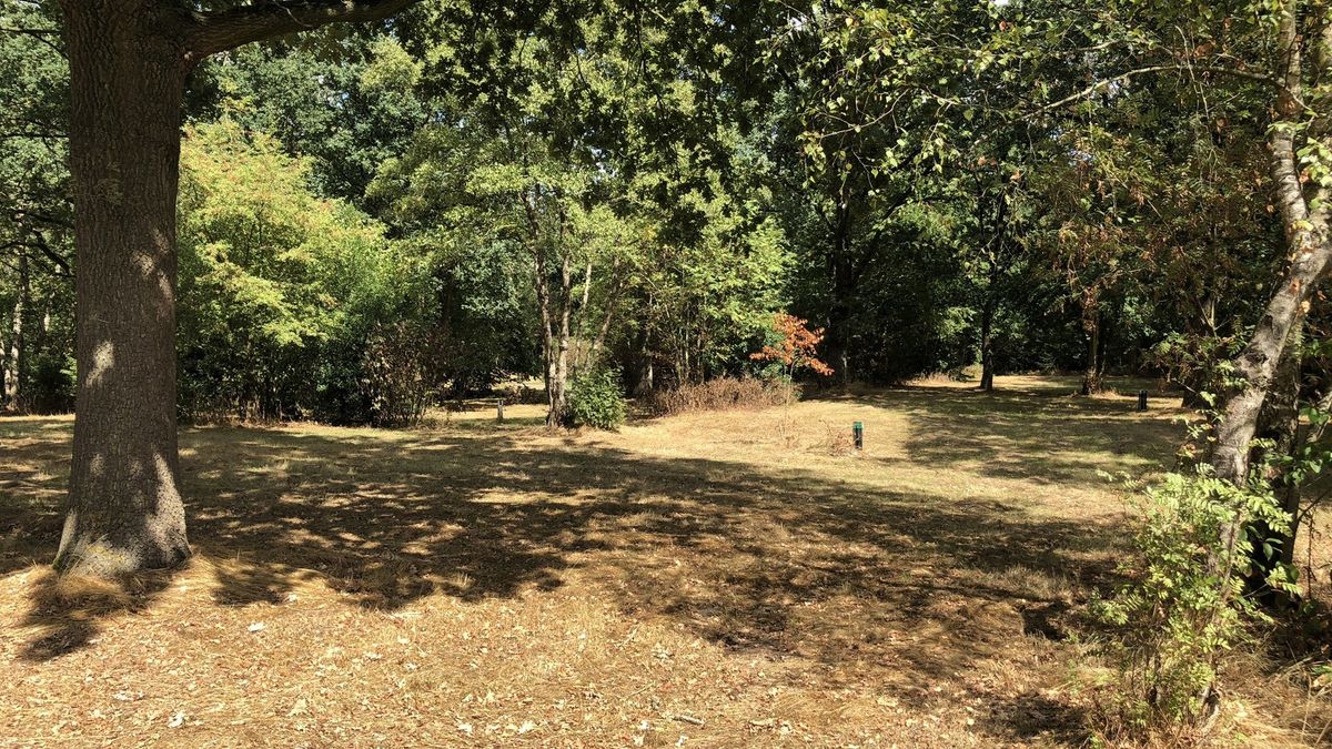 Zeven kandidaten voor overname failliete camping De Papaver