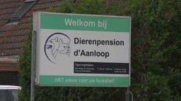 Dierenpension Darp moet sluiten