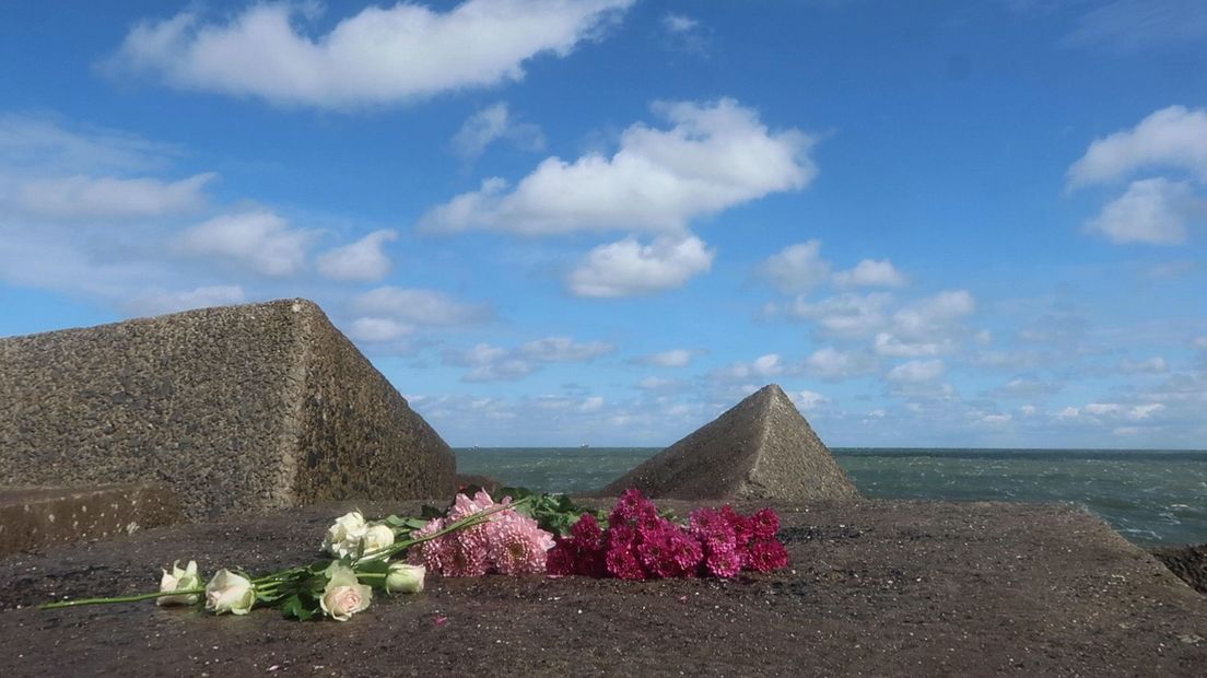 Bloemen op het Noordelijk Havenhoofd