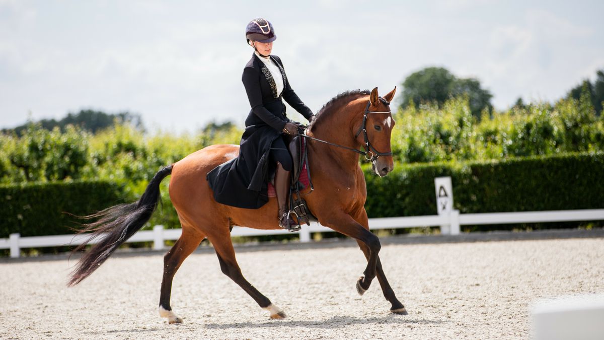 Chaja Kolthoff-Voest maakt met haar 'trotse' Spanjaard Felero EK-debuut in Exloo