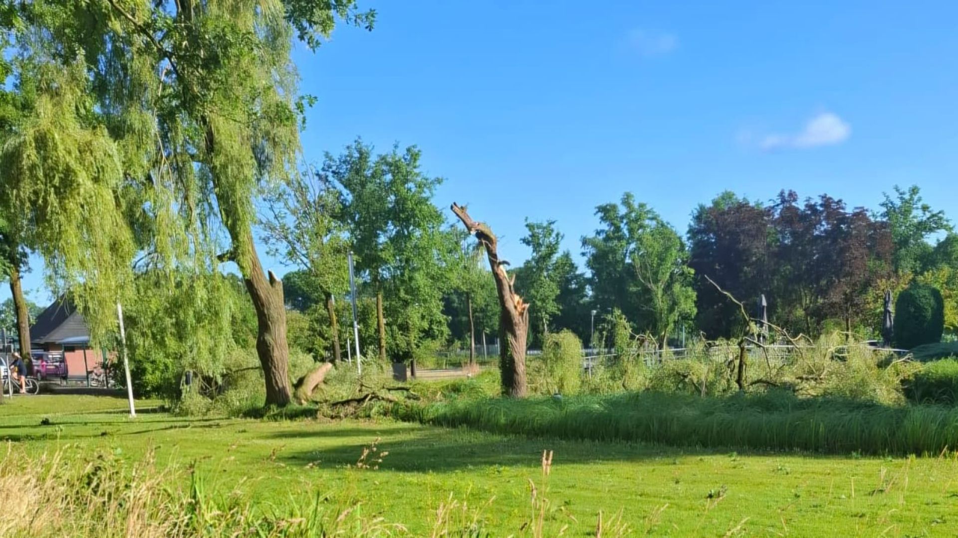 Veel bomen in Winterswijk zijn flink beschadigd na de hevige storm.