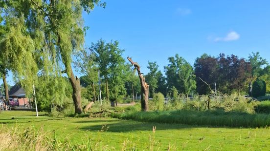 Informatieavond over herstel stormschade en versterking landschap in Winterswijk
