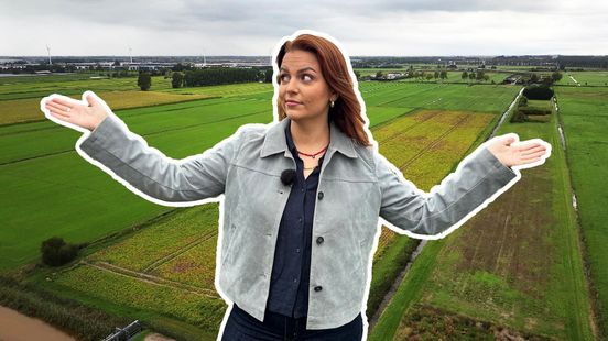 Lege weilanden genoeg, waarom bouwen we daar geen huizen? Home