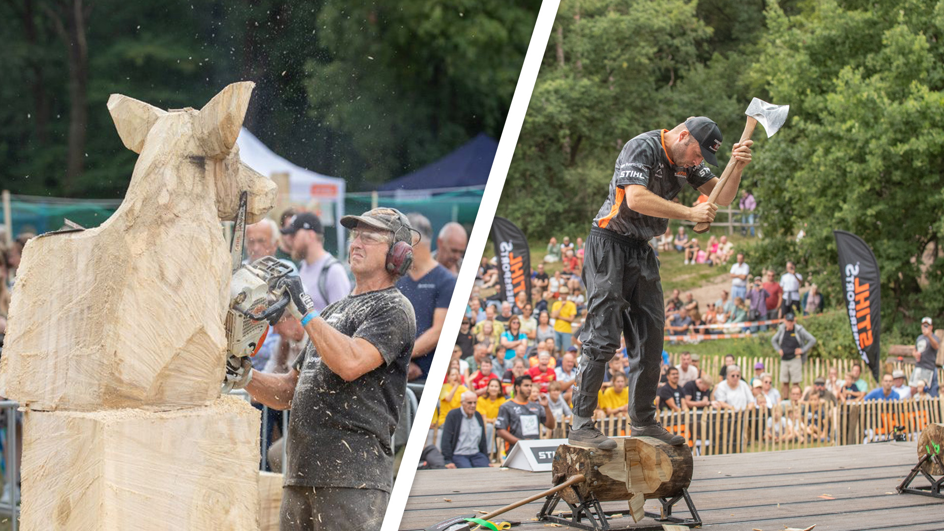 Zaagmeesters en bijlvirtuozen: beste houthakkers ter wereld stelen de show in Lage Vuursche