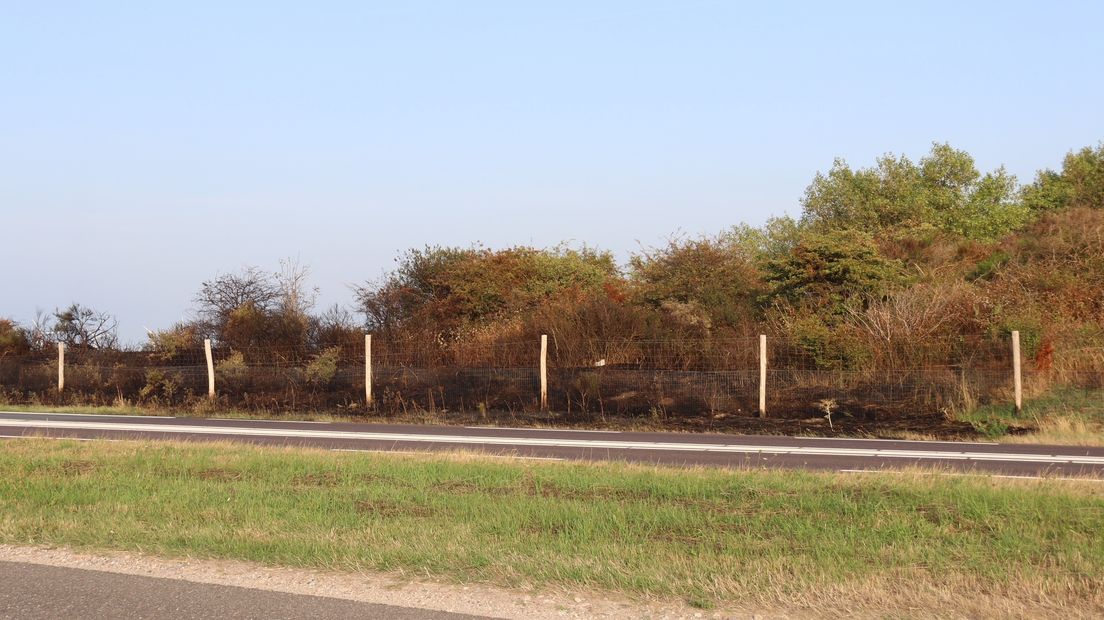 Natuurbrand bij Vrouwenpolder