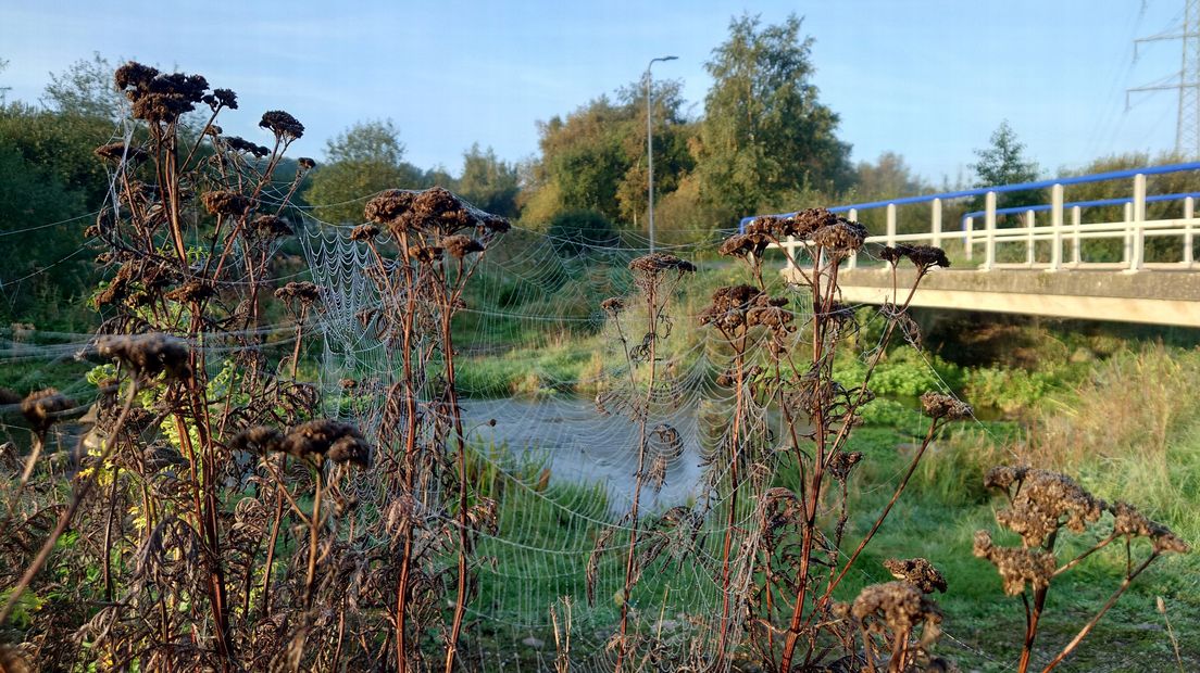 Edith Hurenkamp maakte deze foto bij het bruggetje in Hoogeveen
