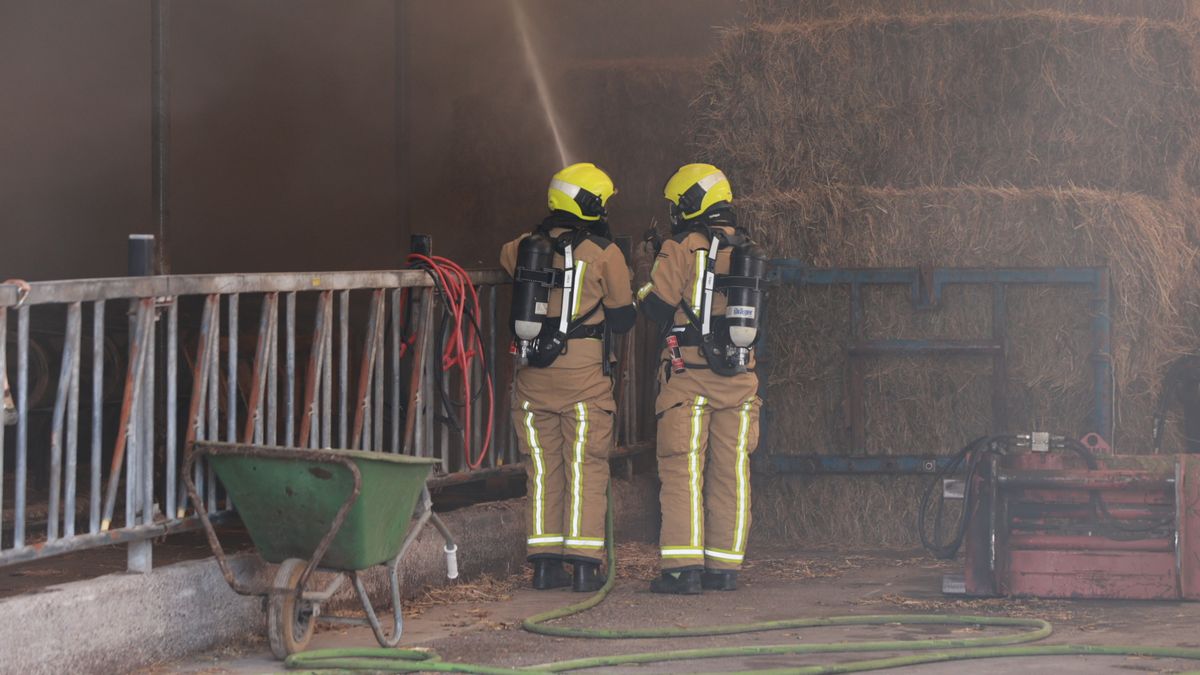 Brand in stal op boerderij, dieren in veiligheid gebracht