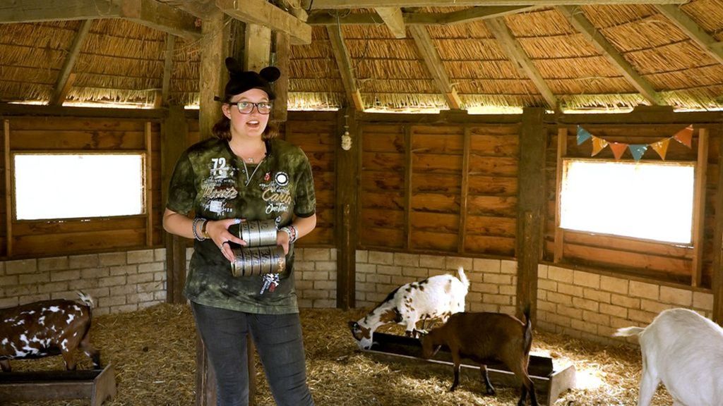 De kinderboerderij in Zutphen zit in financiële nood. Foto: Omroep Gelderland De kinderboerderij in Zutphen zit in financiële nood. Foto: Omroep Gelderland