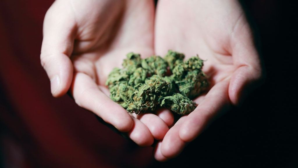 Duitsland denkt na over de legalisering van cannabis. Foto: Sharon McCutcheon / Pexels Duitsland denkt na over de legalisering van cannabis. Foto: Sharon McCutcheon / Pexels