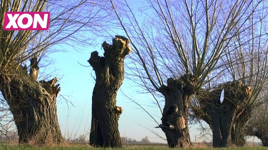Landschapsbeheer Gelderland . Foto: YouTube Landschapsbeheer Gelderland . Foto: YouTube
