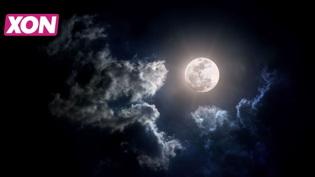 Nacht van de Nacht Wekeromse zand