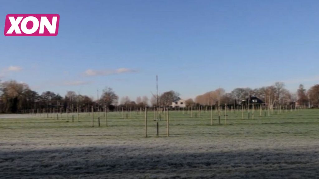 Landbouw in de Gelderse Vallei. Foto: XON